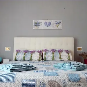 Ricky Apartment